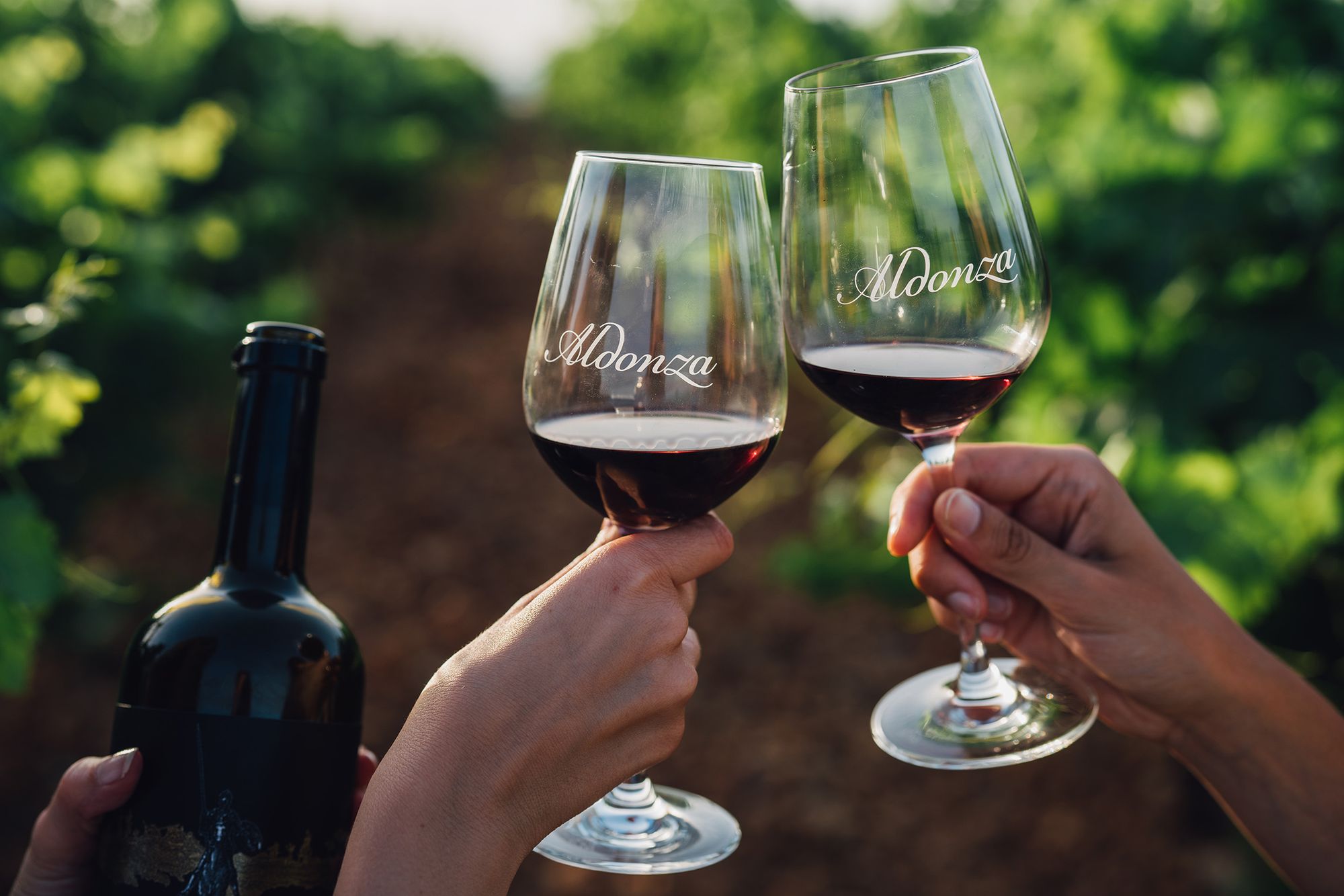 vino aldonza