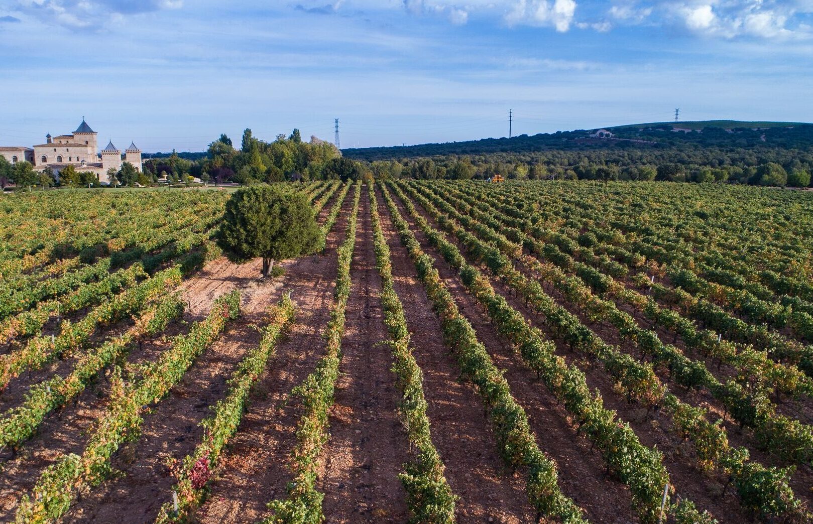 dehesa de navamarin